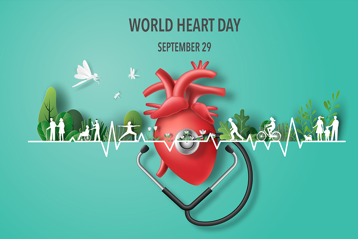 What Is Heart Failure Journey From Diagnosis To Treatment