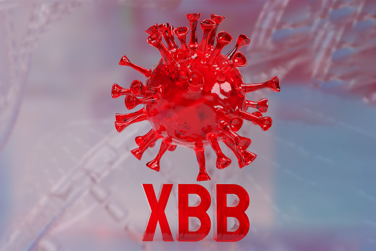 <strong>XBB.1.5 Covid variant: What you need to know for your safety and protection</strong>