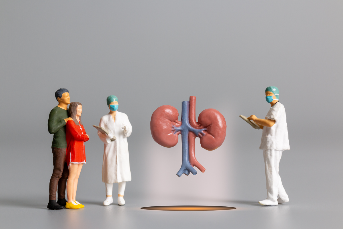 <strong>Understanding Chronic Kidney Disease: Causes, Symptoms and Treatment Options</strong>