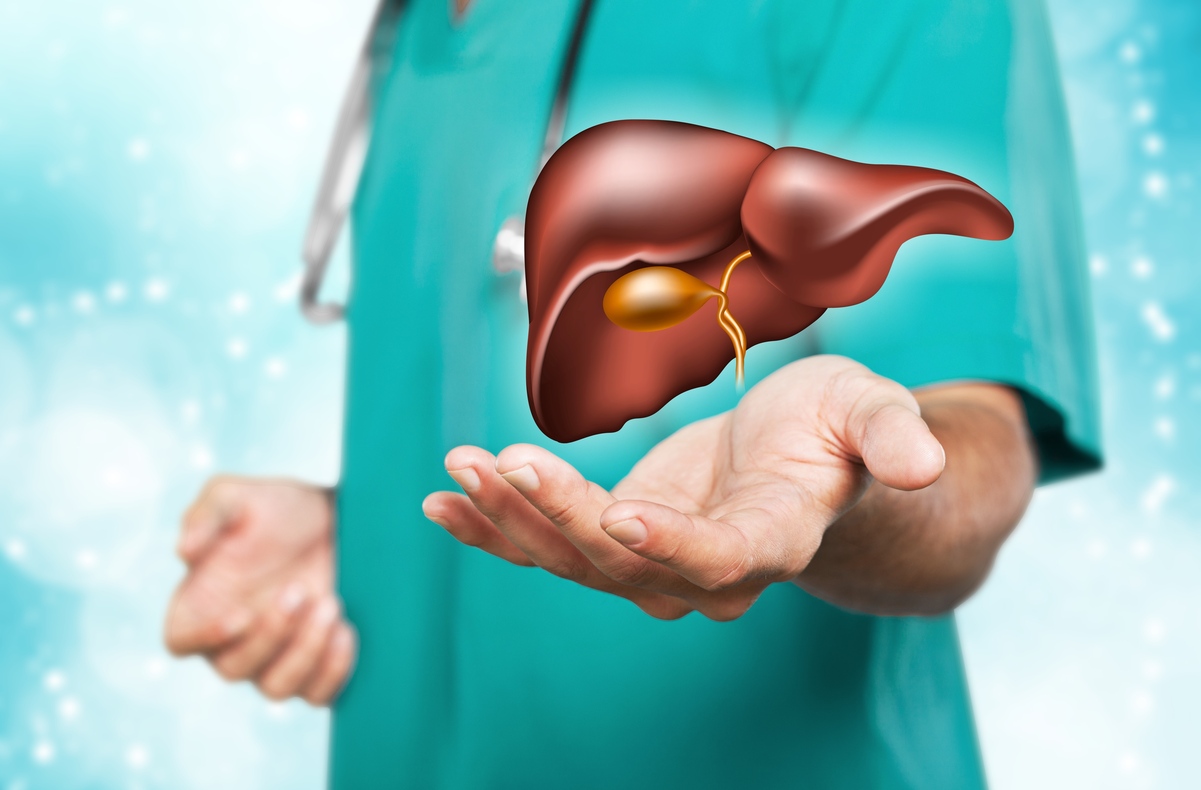 Liver: How important is it? And how to properly take care of it?